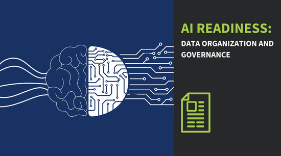AI Readiness Data Organization and Governance
