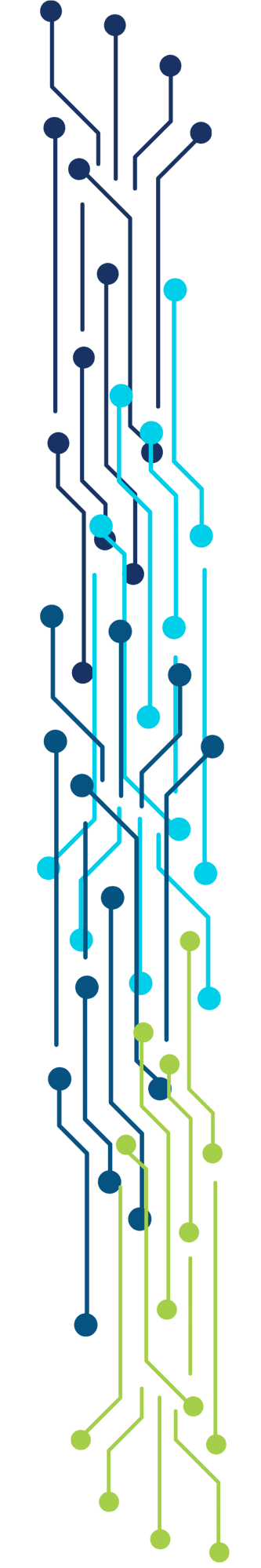 Data Flow