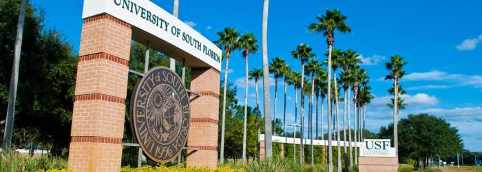 SME CEO Named USF ISDS Board Chair